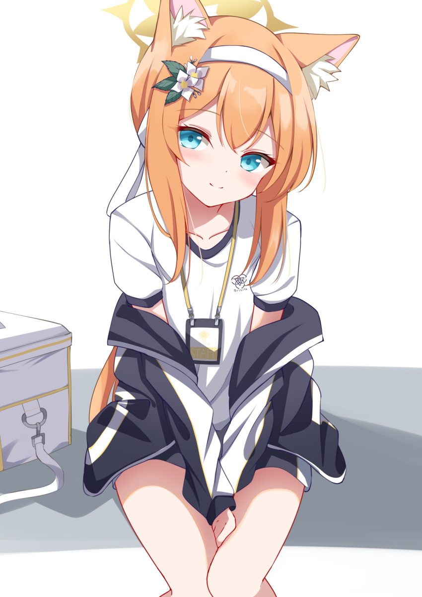 1girl, absurdres, animal_ears, blue_archive, blue_eyes, fox_ears, gym_shirt, gym_shorts