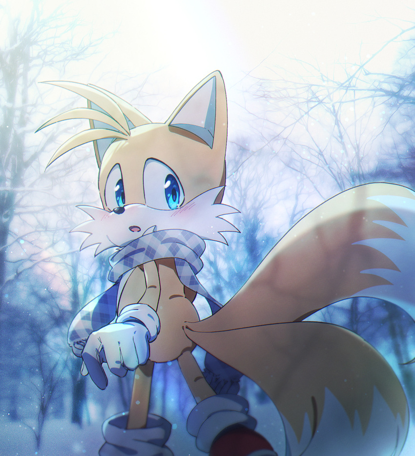 1boy, animal_ears, animal_nose, banri_0917, bare_tree, blue_eyes, blue_scrunchie, blush