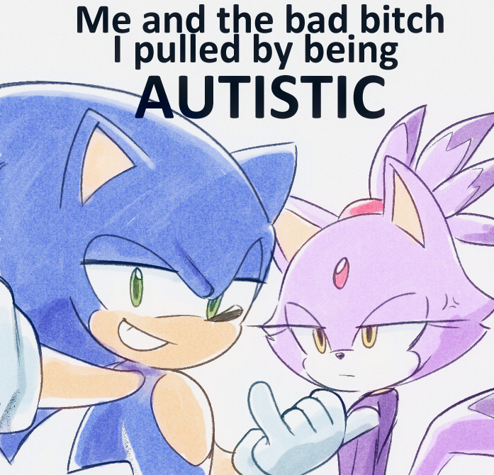 1boy, 1girl, \n/, anger_vein, animal_ears, animal_nose, blaze_the_cat, cat_ears, cat_girl, cat_tail, closed_mouth, commentary, english_text, erickaventura, furry, furry_female, furry_male, gloves, green_eyes, grin, half-closed_eyes, looking_at_another, looking_at_viewer, me_and_the_bad_bitch_i_pulled_by_being_autistic_(meme), meme, simple_background, smile, sonic_(series), sonic_the_hedgehog, tail, upper_body, white_background, white_gloves, yellow_eyes