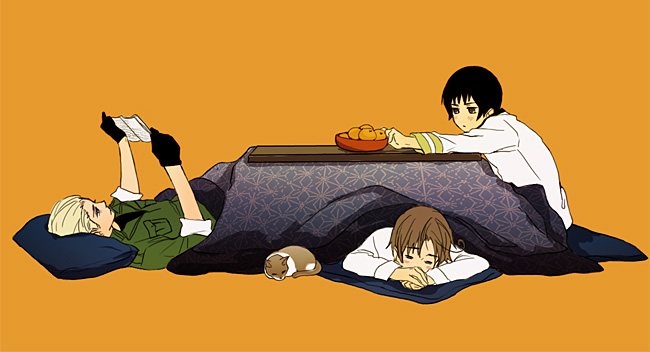 black_hair, blonde_hair, book, brown_hair, cat, germany_(hetalia), gloves, japan_(hetalia)