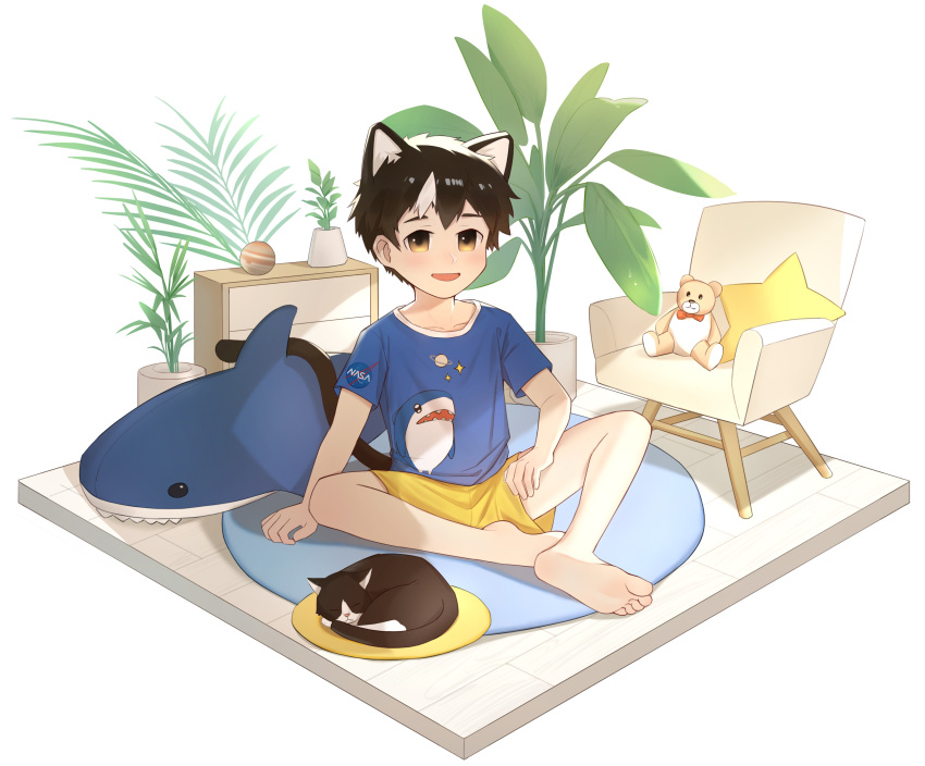 1boy, absurdres, animal_ears, barefoot, black_hair, blue_shirt, bow, bowtie, cat, cat_boy, cat_ears, cat_tail, chair, child, hand_on_own_thigh, highres, looking_at_viewer, male_child, male_focus, multicolored_hair, nasa_logo, open_mouth, original, plant, print_shirt, red_bow, red_bowtie, rock_sugar, shark_print, shirt, short_sleeves, shorts, sitting, sleeping, smile, star_pillow, stuffed_animal, stuffed_shark, stuffed_toy, tail, teddy_bear, yellow_shorts
