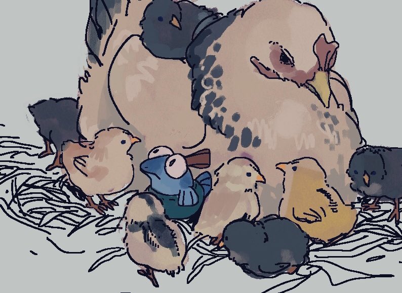 animal, animal_focus, beak, bird, bulging_eyes, chick, chicken, dr_mice
