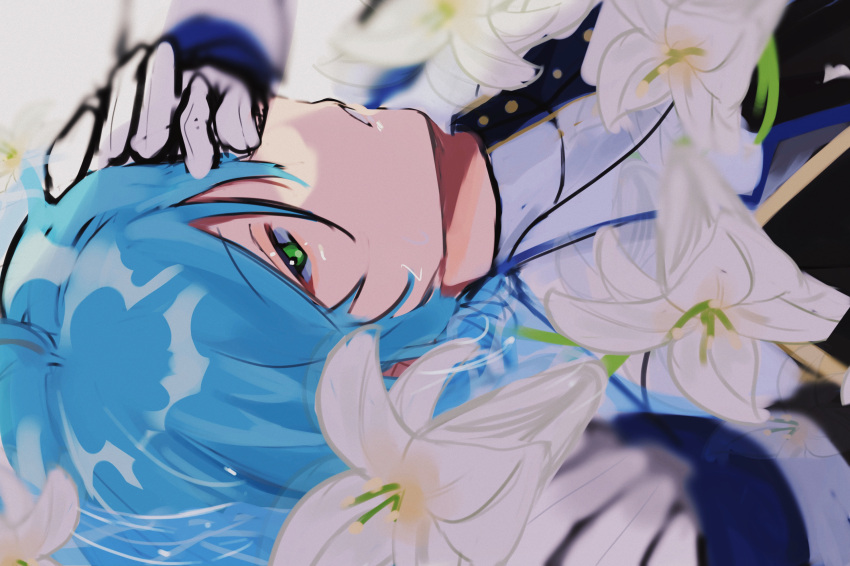 1boy, black_jacket, blue_flower, blue_hair, blue_jacket, ensemble_stars!, facing_up, flower, green_eyes, highres, idol_clothes, jacket, light_blue_hair, long_sleeves, looking_at_viewer, lying, male_focus, multicolored_clothes, multicolored_jacket, on_back, shinkai_kanata, short_hair, sketch, solo, teeth, white_flower, white_jacket, yukimi_bon