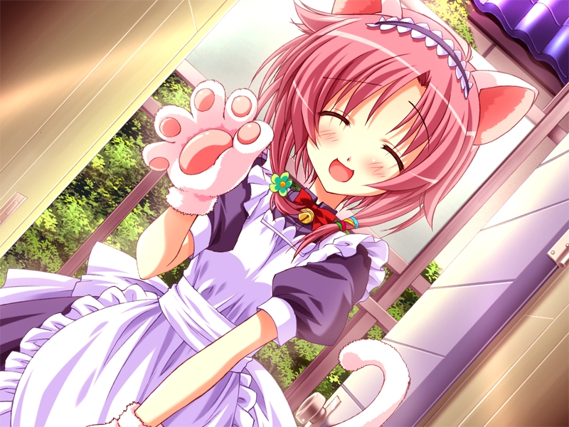 :d, cat_ears, cat_gloves, cat_paws, cat_tail, closed_eyes, game_cg, gloves