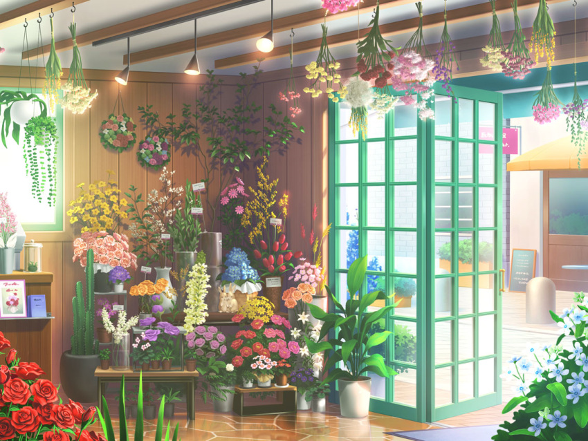 blue_flower, cactus, door, doormat, flower, flower_pot, flower_shop, forget-me-not_(flower)