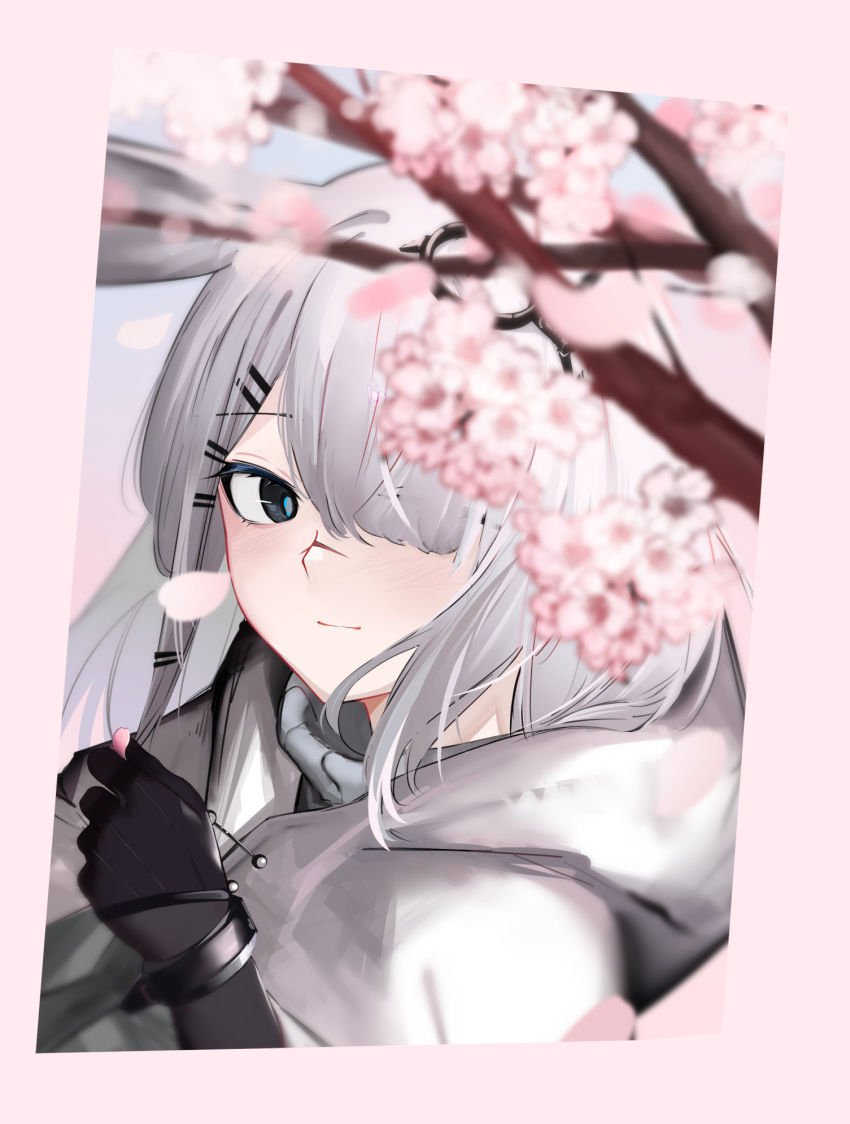 1girl, animal_ears, ao_oni_(onioni-aoi), arknights, black_eyes, black_gloves, blush, cherry_blossoms, closed_mouth, frostnova_(arknights), gloves, grey_hair, hair_ornament, hair_over_one_eye, hairclip, highres, hood, hood_down, long_hair, looking_at_viewer, petals, rabbit_ears, scar, scar_on_face, scar_on_nose, smile, solo, upper_body