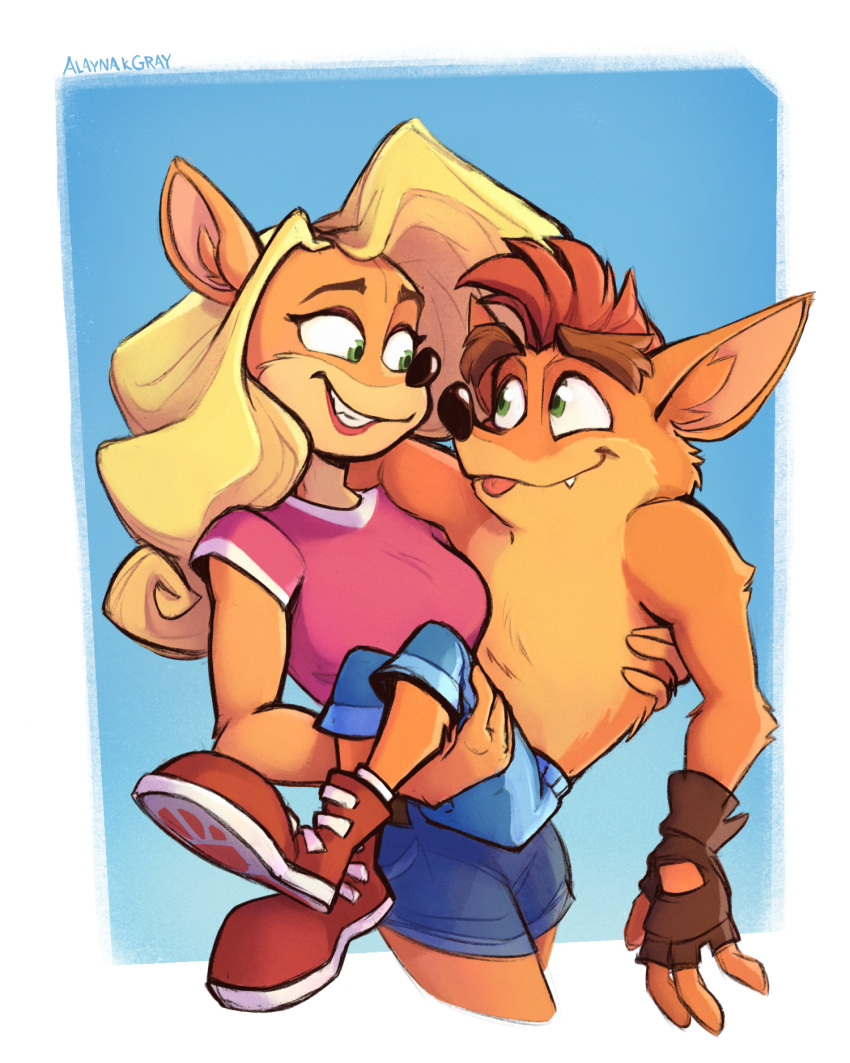 1boy, 1girl, alaynakgray, artist_name, blonde_hair, border, brown_gloves, carrying, crash_bandicoot, crash_bandicoot_(series), english_text, fingerless_gloves, furry, furry_female, furry_male, gloves, green_eyes, grin, highres, long_hair, pink_shirt, princess_carry, red_footwear, shirt, shoes, short_shorts, shorts, simple_background, smile, tawna_bandicoot, teeth, tongue, tongue_out, white_border