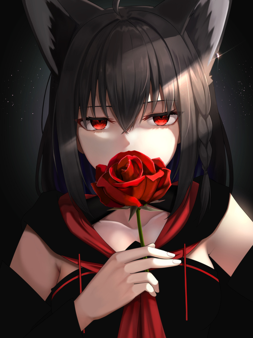 1girl, absurdres, ahoge, animal_ears, black_hair, blank_stare, braid, collarbone
