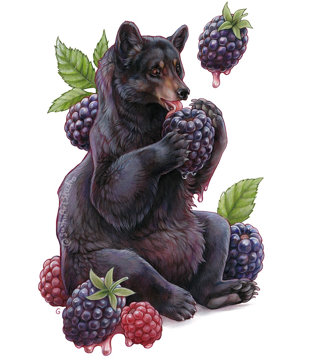 animal, artist_name, bear, berry, blackberry_(fruit), food, fruit, holding, holding_food, leaf, no_humans, open_mouth, original, raspberry, simple_background, sushiartstudio, tongue, tongue_out, watermark, white_background