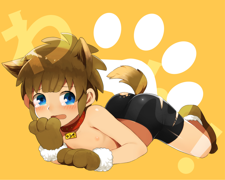 animal_ears, bike_shorts, blue_eyes, brown_hair, inazuma_eleven, male, on_stomach, shirtless, shota, spats, tachimukai_yuuki