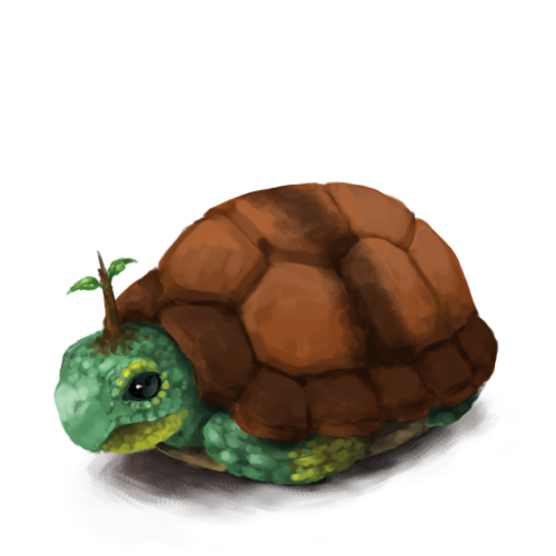 lowres, naco24, no_humans, pokemon, pokemon_(creature), realistic, shell_retraction, simple_background