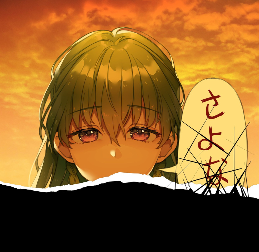 1girl, braid, close-up, clouds, dusk, green_hair, highres, long_hair