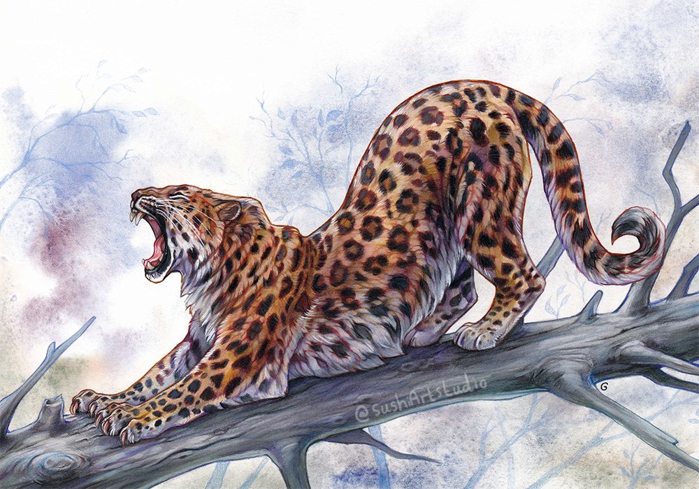 animal, animal_focus, artist_name, branch, closed_eyes, leopard, no_humans, open_mouth
