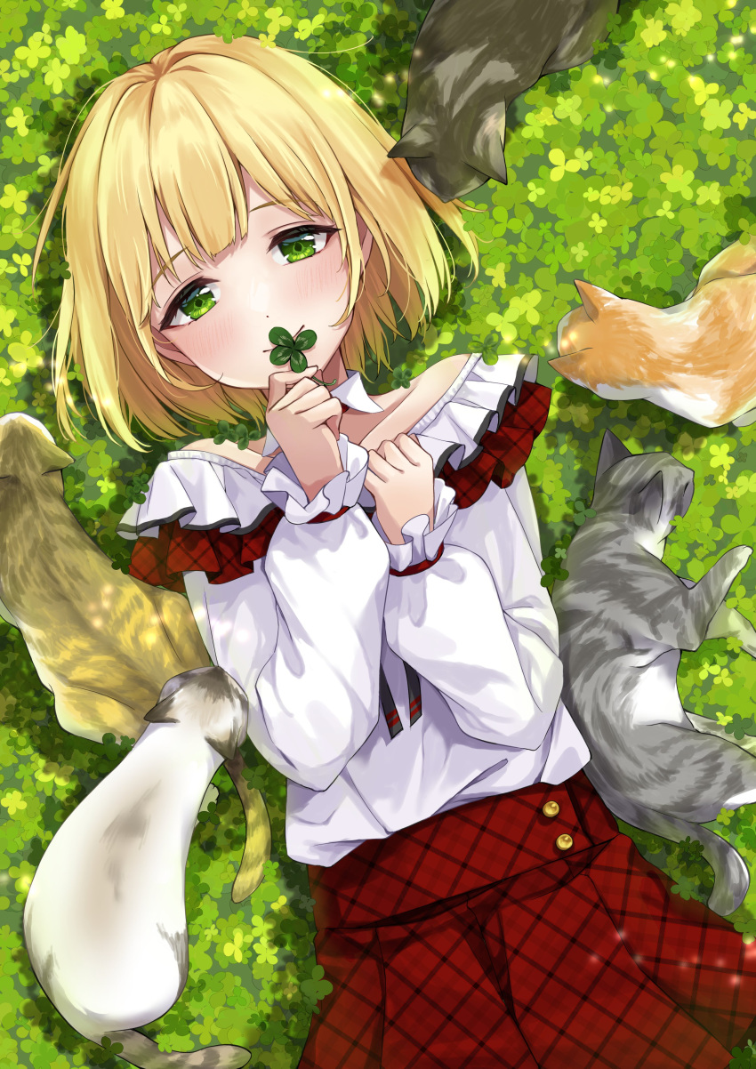 1boy, absurdres, blonde_hair, blush, cat, clover, four-leaf_clover, frilled_shirt