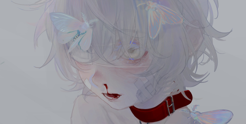 1girl, absurdres, bandaid, bandaid_on_face, bare_shoulders, blood, bug, cicada, close-up, collar, eyepatch, grey_background, highres, li_xueyao, medical_eyepatch, moth, nosebleed, open_mouth, original, red_collar, short_hair, simple_background, sketch, solo, teeth, white_eyes, white_hair