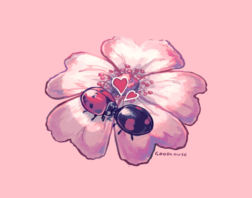 animal_focus, artist_name, bug, everson_woodlouse, flower, flower_focus, heart, kiss, ladybug, no_humans, original, pink_background, pink_flower