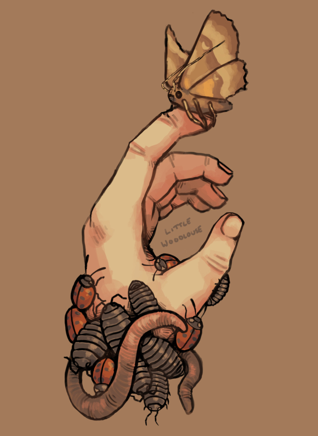 1other, animal_focus, animal_on_finger, animal_on_hand, artist_name, brown_background, bug, commentary