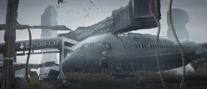 1girl, abandoned, aircraft, airplane, airport, bench, bird, broken_glass, chinese_commentary, commentary_request, glass, grass, highres, original, outdoors, overgrown, post-apocalypse, ptsd0818, scenery, science_fiction, short_hair, skull, solo, standing, white_hair, wide_shot, wreckage