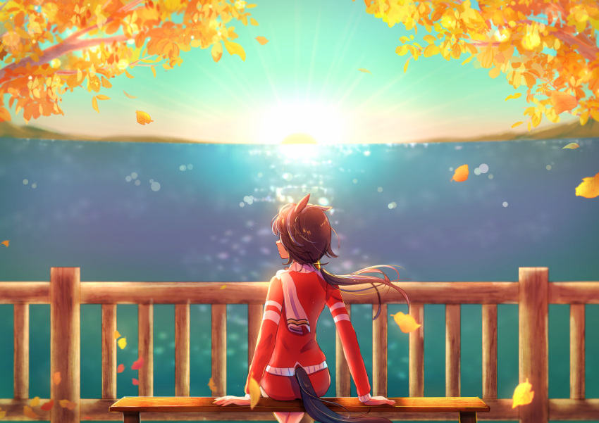 1girl, absurdres, animal_ears, bench, black_hair, from_behind, highres, horizon