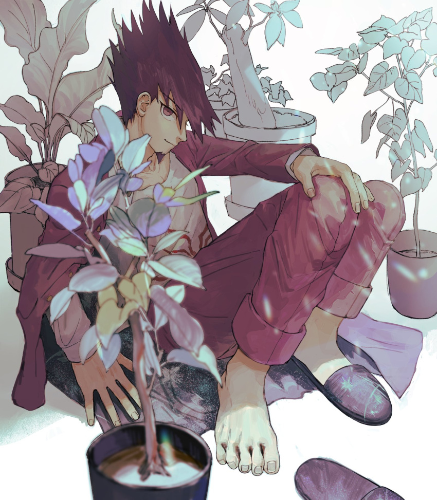 1boy, blue_flower, closed_mouth, danganronpa_(series), danganronpa_v3:_killing_harmony, facial_hair, flower, goatee, highres, jacket, knees_up, long_sleeves, looking_at_viewer, male_focus, momota_kaito, nasubinonono, open_clothes, open_jacket, open_shirt, pants, pink_eyes, pink_jacket, pink_pants, plant, potted_plant, print_shirt, shirt, shoes, single_barefoot, sitting, smile, solo, space_print, spiky_hair, starry_sky_print, white_background
