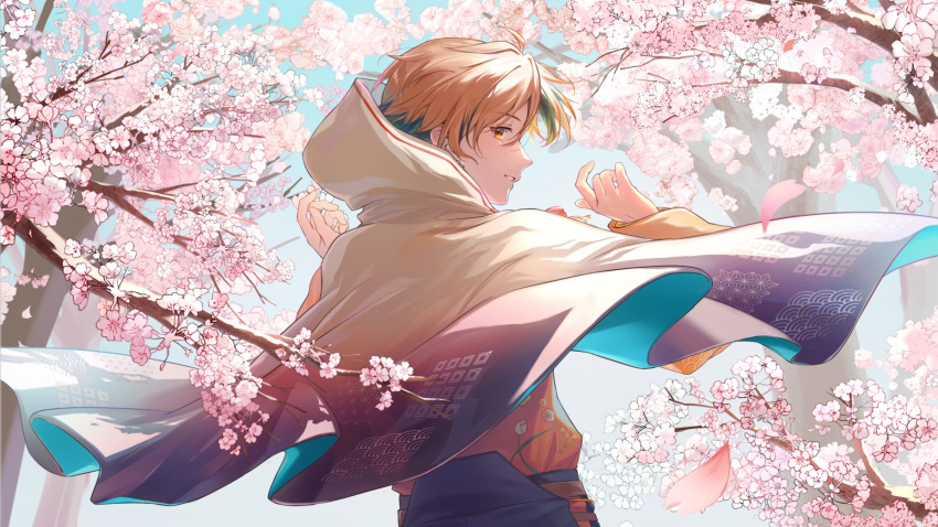 1boy, asa_no_ha_(pattern), black_hair, black_hakama, cape, cherry_blossoms, day, earrings
