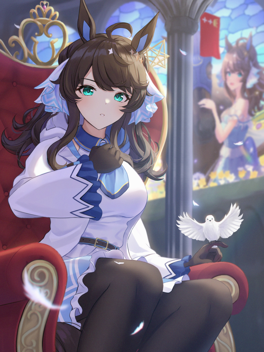 1girl, animal_ears, belt, bird, black_hair, blue_eyes, blurry, blurry_background, breasts, clenched_hand, commentary_request, daring_tact_(racehorse), daring_tact_(umamusume), highres, horse_ears, horse_girl, jacket, kashmir_0808, looking_at_viewer, medium_breasts, petals, sitting, solo, throne, umamusume, window