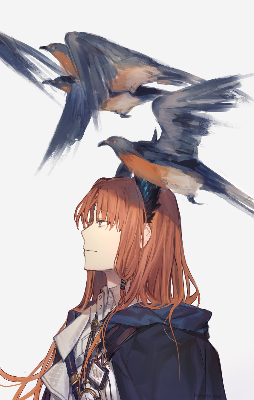 1boy, absurdres, animal_on_head, arknights, bird, bird_on_head, blue_cape, blue_eyes