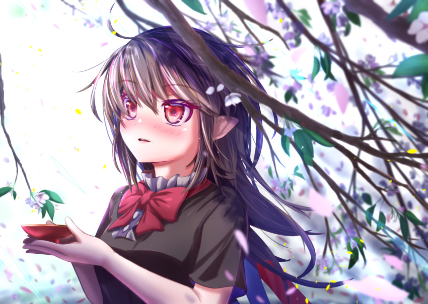 1girl, black_dress, black_hair, bloom, blurry, blush, bow, bowl