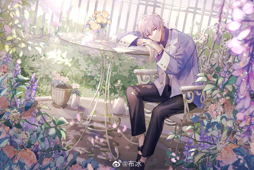 1boy, allis-well, artist_name, black_footwear, black_pants, bloom, bracelet, bush, buttons, chair, closed_mouth, collared_shirt, commentary, day, dream_mansion, fence, flower, flower_pot, flower_request, hair_between_eyes, highres, jacket, jewelry, lapels, leaf, light_purple_hair, long_sleeves, looking_at_viewer, male_focus, min_heng, open_clothes, open_jacket, outdoors, pants, pink_flower, pink_rose, plant, potted_plant, purple_flower, purple_jacket, purple_shirt, red_eyes, rose, shirt, shoes, short_hair, sitting, solo, sunlight, symbol-only_commentary, table, vase, weibo_logo, weibo_username, white_flower, wisteria