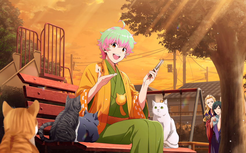 3boys, ahoge, bench, blonde_hair, brown_eyes, cat, evening, fingernails
