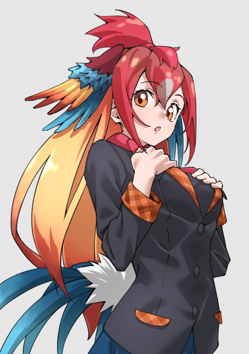 1girl, :o, absurdres, bird_girl, bird_tail, bird_wings, black_jacket, blue_hair