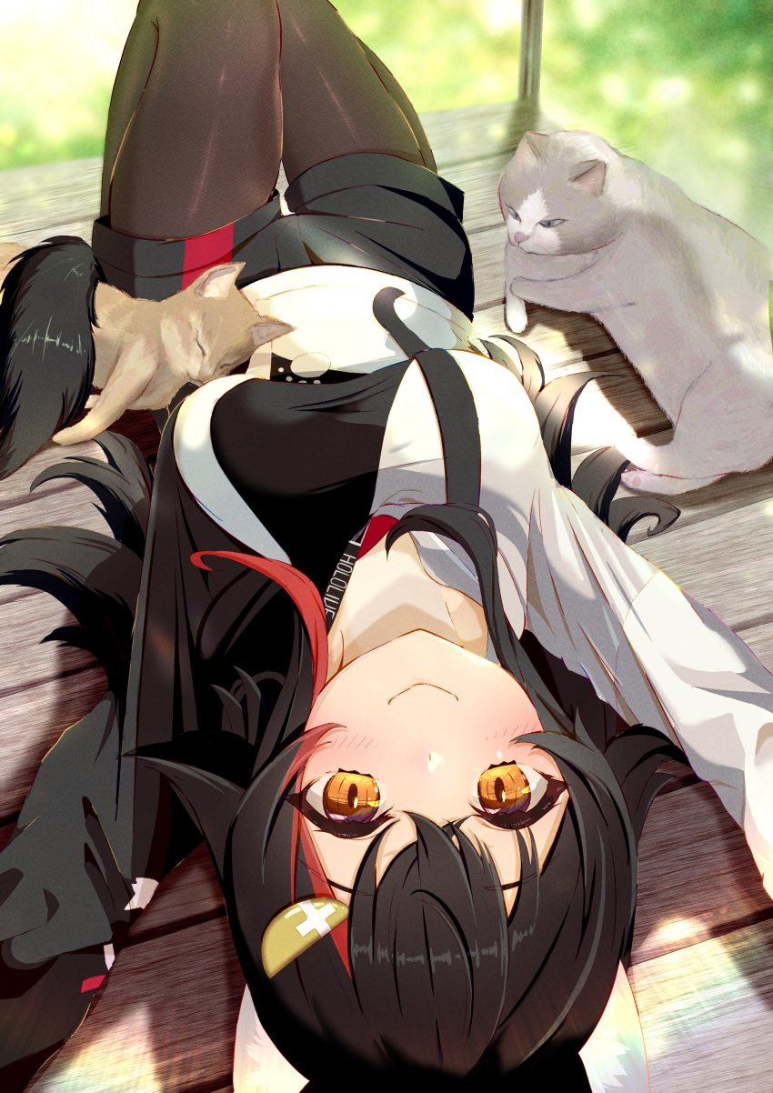 1girl, absurdres, animal, animal_ears, asymmetrical_sleeves, black_hair, black_pantyhose, black_shorts, black_sleeves, blurry, blurry_background, cat, closed_eyes, closed_mouth, crossed_bangs, dot_nose, from_above, hair_between_eyes, hair_ornament, highres, hihi_(oekakihix), hololive, knees_together_feet_apart, long_sleeves, looking_at_viewer, lying, multicolored_hair, multiple_girls, on_back, ookami_mio, outdoors, pantyhose, redhead, shorts, sleeping, smile, solo, streaked_hair, tail, two-tone_hair, virtual_youtuber, white_sleeves, wolf_ears, wolf_girl, wolf_tail, wooden_floor, yellow_eyes