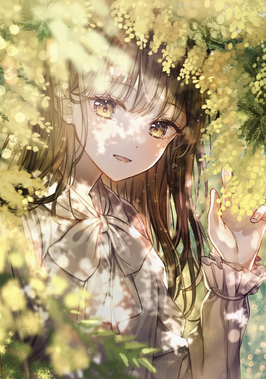 1girl, blurry, blush, bow, bowtie, brown_hair, brown_shirt, dappled_sunlight, depth_of_field, flower, frilled_sleeves, frills, hand_up, highres, long_hair, long_sleeves, looking_at_viewer, mimosa_(flower), original, parted_lips, sakura_(39ra), shirt, smile, solo, sunlight, upper_body, yellow_eyes, yellow_flower
