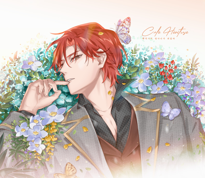 1boy, brown_eyes, brown_vest, bug, butterfly, butterfly_on_head, cale_henituse, character_name