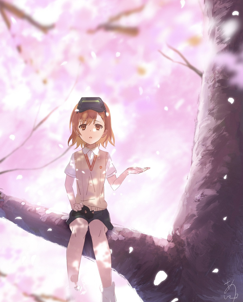 1girl, animal, animal_on_lap, asshuku, black_skirt, branch, brown_eyes, brown_hair