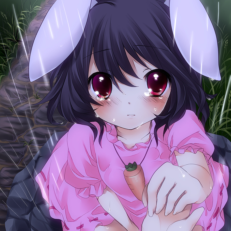 animal_ears, banned_artist, carrot, dress, grass, inaba_tewi, rabbit_ears, red_eyes