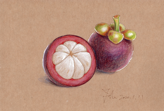 brown_background, colored_pencil_(medium), dated, food, food_focus, fruit, hanajorin, mangosteen