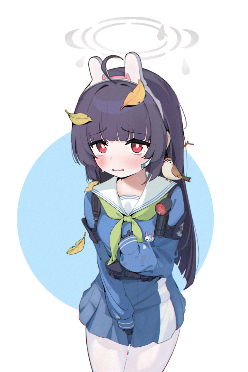1girl, 2080167236, animal_ears, bird, black_gloves, black_hair, blue_archive, blunt_bangs