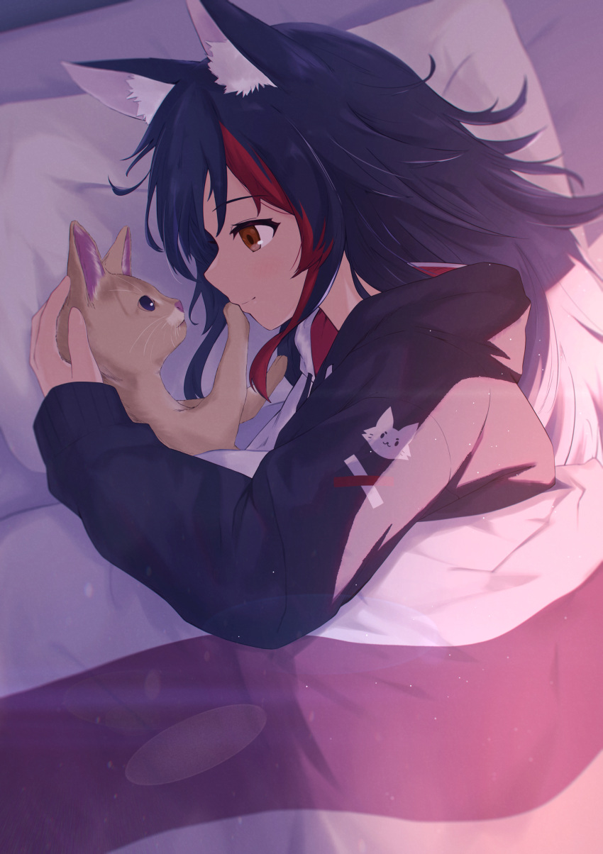 1girl, absurdres, animal_ear_fluff, animal_ears, black_hair, black_hoodie, brown_eyes, cat