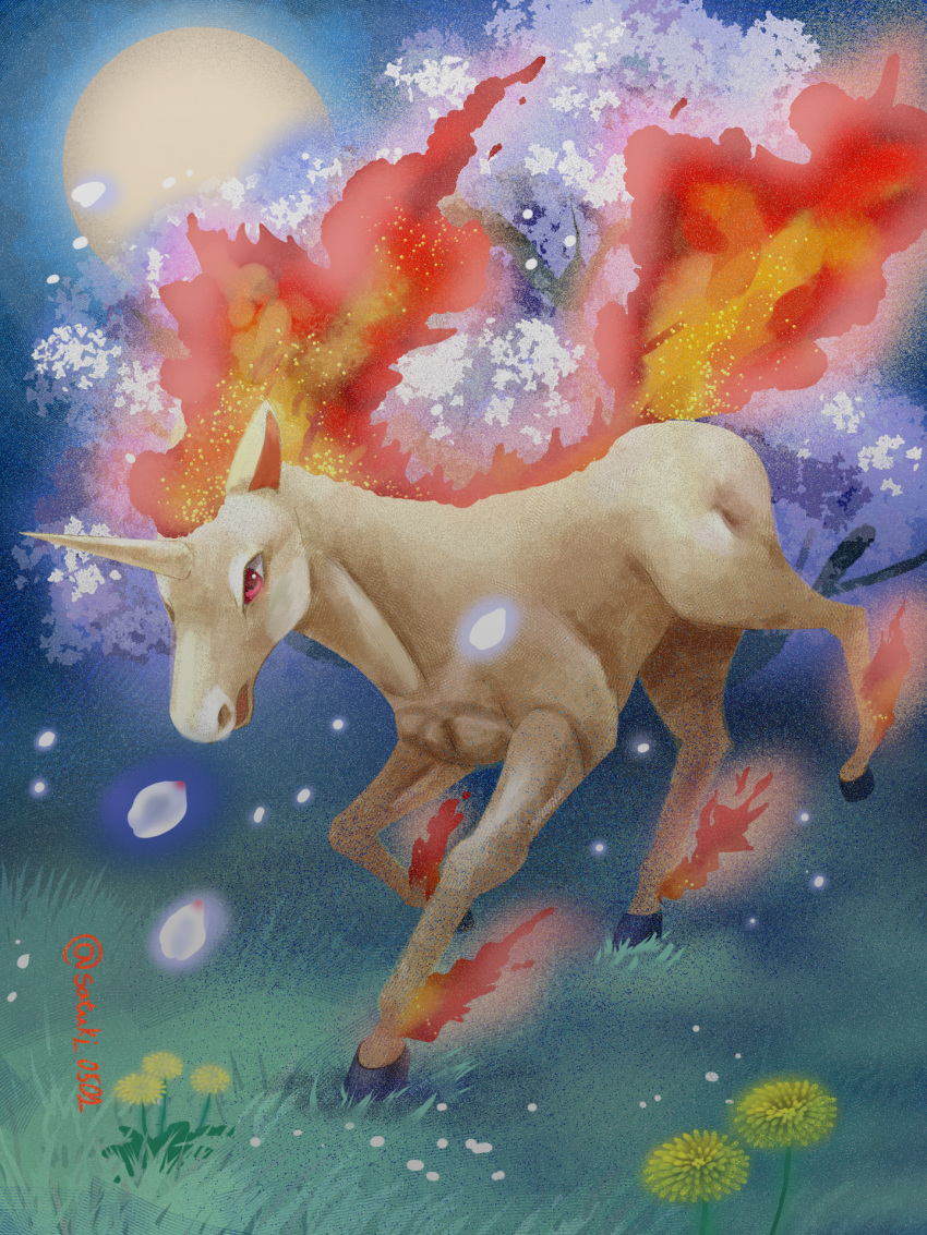 animal_focus, commentary_request, falling_petals, fire, grass, highres, looking_down, night