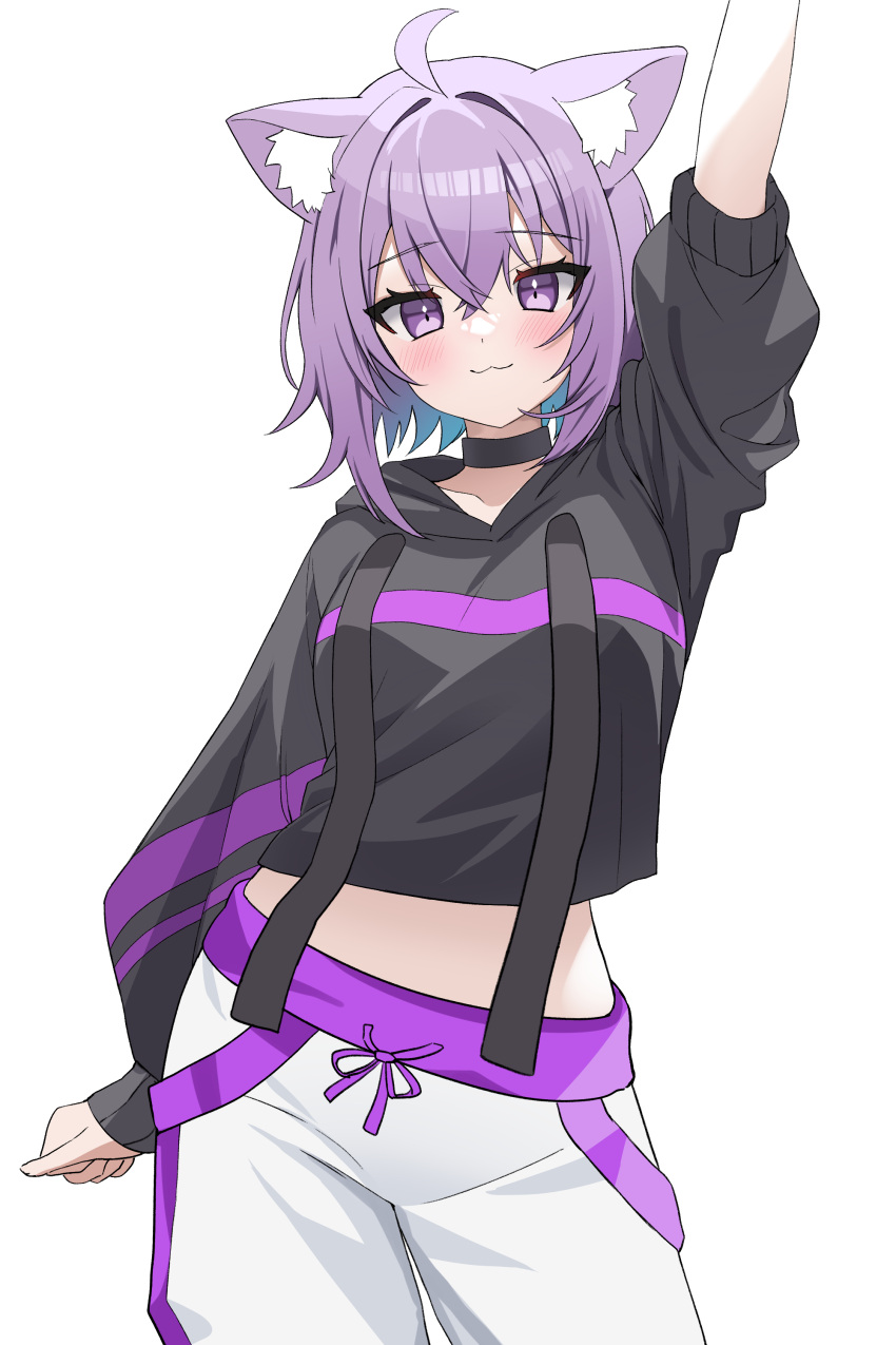 1girl, :3, absurdres, ahoge, animal_ear_fluff, animal_ears, arm_up, black_choker
