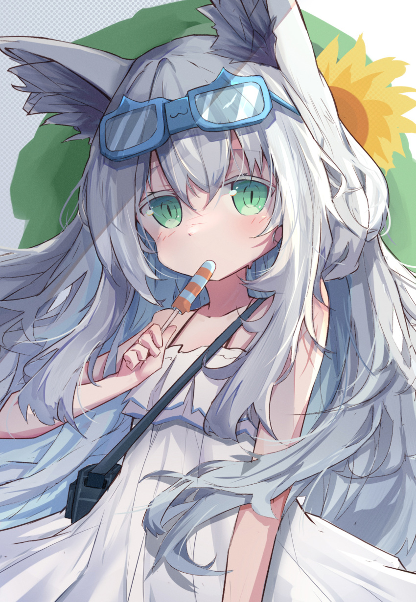 1girl, animal_ears, arknights, blue-framed_eyewear, blush, camera, camera_around_neck, candy, cat-shaped_eyewear, cat_ears, cat_girl, commentary, cowboy_shot, dress, eating, eyewear_on_head, food, food_in_mouth, green_eyes, highres, long_hair, looking_at_viewer, nalphanne, rosmontis_(arknights), sidelocks, solo, spaghetti_strap, sundress, white_dress, white_hair