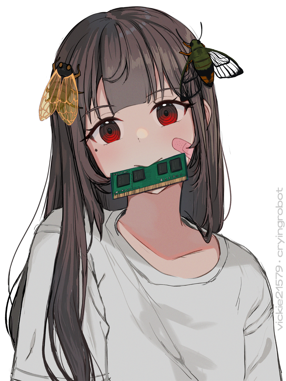 1girl, animal_on_head, bandaid, bandaid_on_cheek, bandaid_on_face, brown_hair, bug, cicada