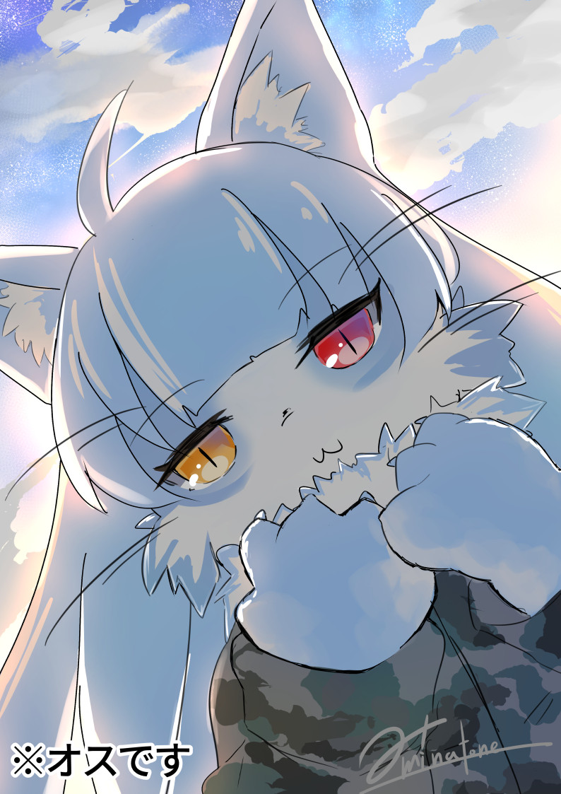 1boy, :3, ahoge, animal_ears, blue_hair, blue_sky, camouflage, camouflage_jacket