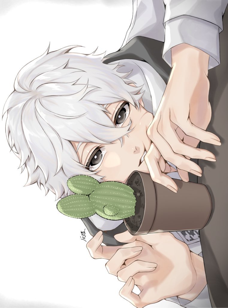 1boy, artist_name, black_eyes, blue_lock, cactus, commentary_request, fingernails, geek_beat, hair_between_eyes, long_sleeves, male_focus, nagi_seishirou, plant, potted_plant, short_hair, solo, teeth, white_background, white_hair, yellow_eyes