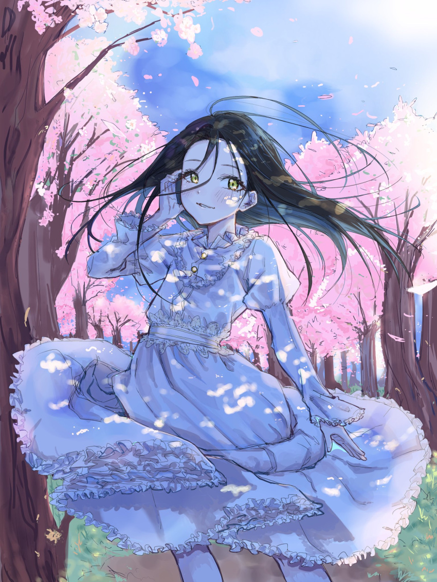1girl, black_hair, blush, cherry_blossoms, dress, feet_out_of_frame, floating_hair, highres, kamisaki_hikaru, long_hair, long_sleeves, looking_at_viewer, medalist_(manga), moc_0625, outdoors, parted_lips, petals, smile, solo, tree, white_dress, yellow_eyes