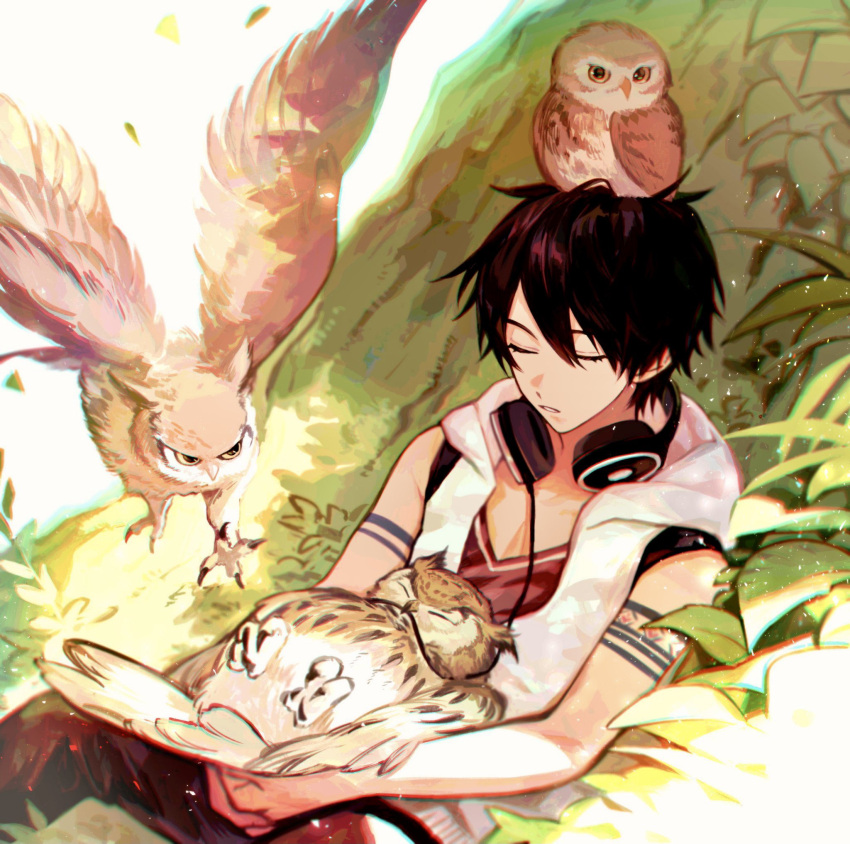 1boy, animal_on_head, arm_tattoo, bird, bird_on_head, bird_on_lap, black_hair, hair_between_eyes
