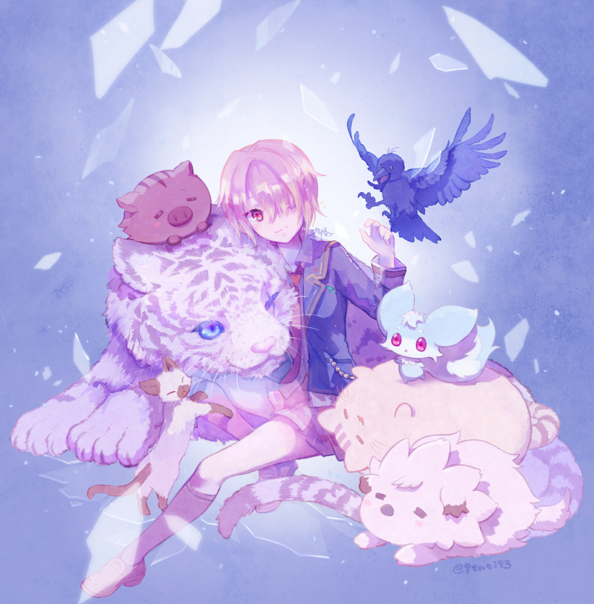 animal, blue_eyes, blue_jacket, byakko_(heaven_burns_red), company_connection, heaven_burns_red, highres, jacket