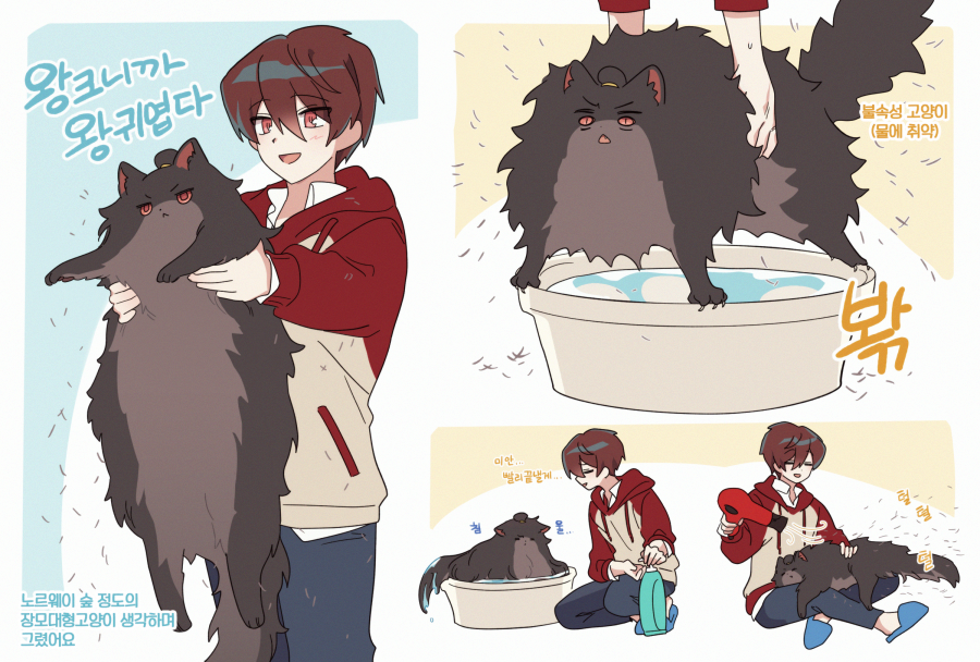 1boy, animal, animalization, bathing, bbunny, blue_footwear, blue_pants, brown_cat