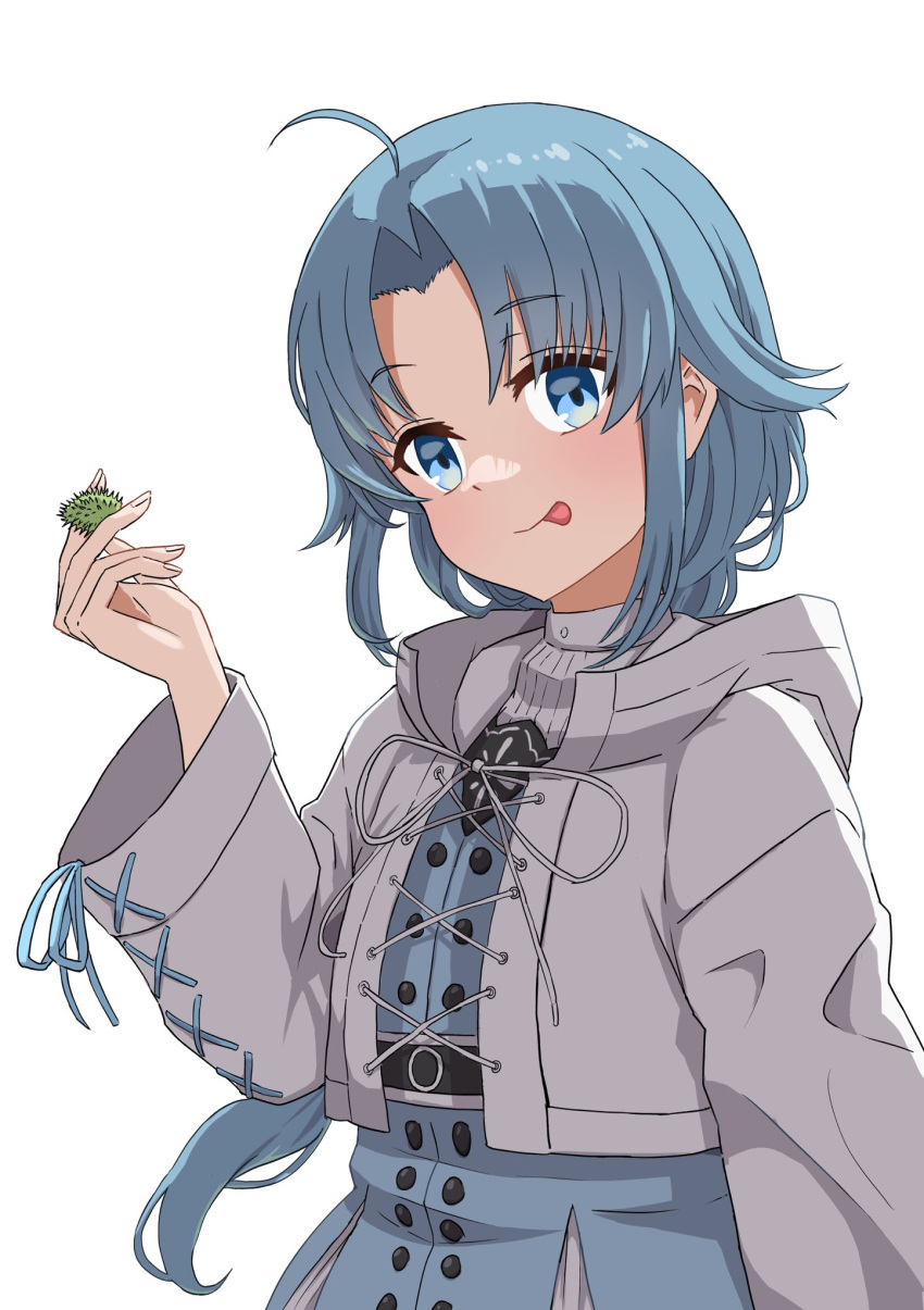 1girl, ahoge, blue_eyes, braid, capelet, dress, highres, lara_greyrat